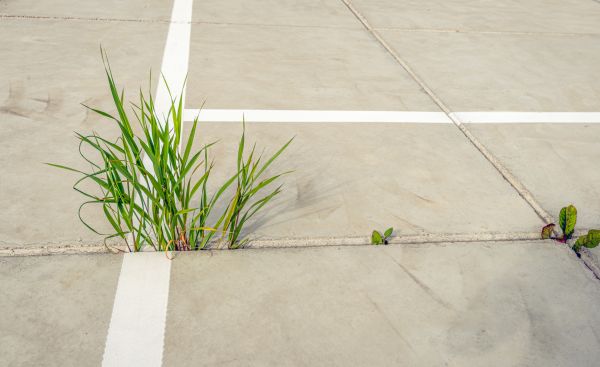 Concrete Parking Installation in West Des Moines